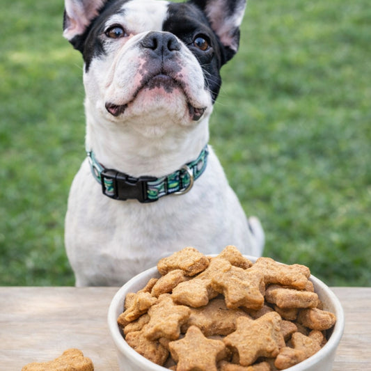 Doggie Biscuits