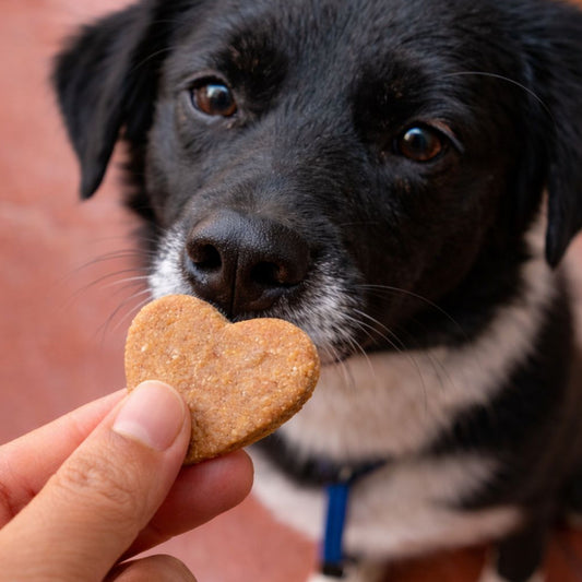 Doggie Biscuits